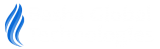 Basha Global Technologies